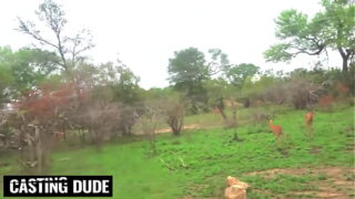 Stor røv Ebony Babe Bøjet Over & Banket POV Doggystyle Af BWC Amerikansk